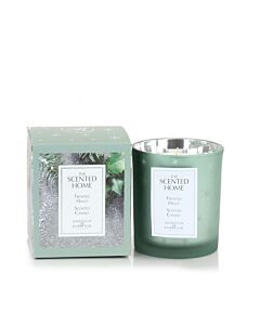 Ashleigh & Burwood Frosted Holly Jar Candle